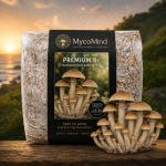 Premium B+ Grow Kit