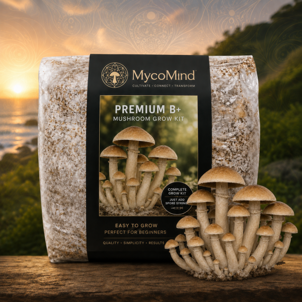 Premium B+ Grow Kit