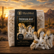 MVP Magic Mushroom Grow Kit