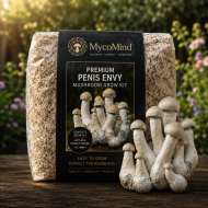 Penis Envy Mushroom Grow Kit