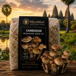Cambodian Mushroom Grow Kit