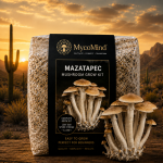 Mazatapec Mushroom Grow Kit