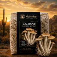 Mazatapec Mushroom Grow Kit