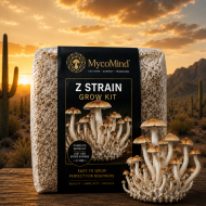 Z-Strain Mushroom Grow Kit